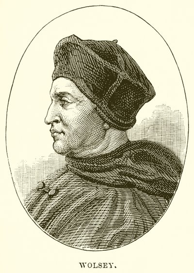 Wolsey od English School
