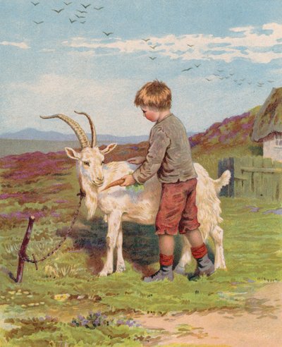Mladý chlapec krmí kozu na farmě mrkví (chromolitho) od English School
