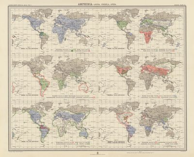 Zoogeografie: (barevná litografie) od English School