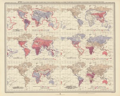 Zoogeografie: (barevná litografie): Aves, Ralliformes, Opisthocomiformes, Columbiformes, Pteroclidiformes, Hemipodii, Galliformes, Tinamiformes, Apterygiformes, Casuariiformes, Struthioniformes, Rheiformes (barevná litografie) od English School
