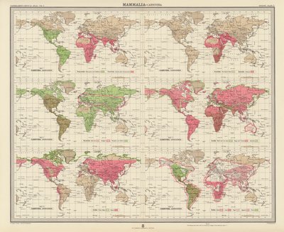 Zoogeografie: (barevná litografie) od English School