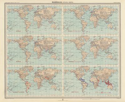 Zoogeografie: (barevná litografie). od English School