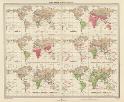 Zoogeografie: (barevná litografie). od English School