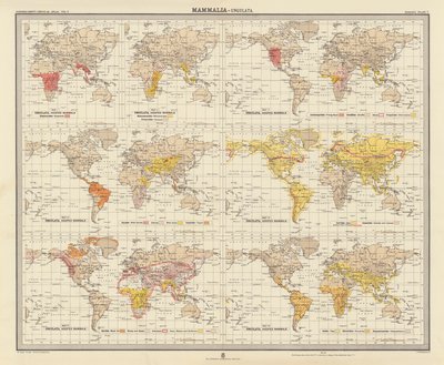 Zoogeografie: (barevná litografie) od English School