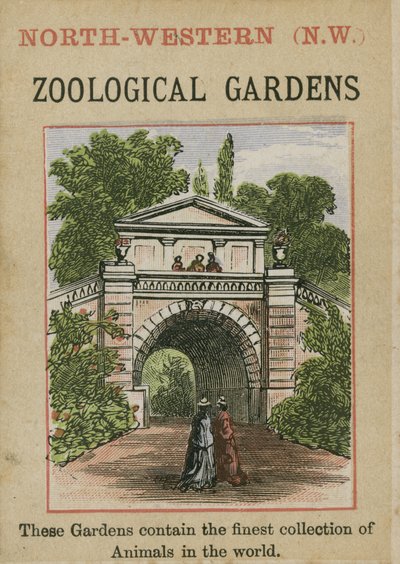 Zoologické zahrady od English School