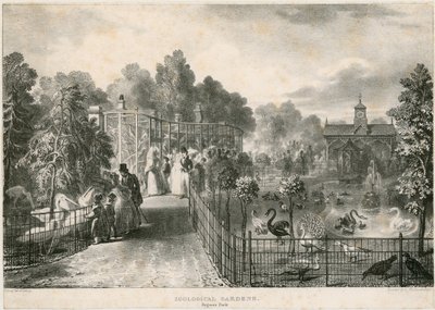 Zoologická zahrada, Regents Park od English School