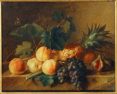 Zátiší s broskvemi a ananasem ... od Erich Lessing