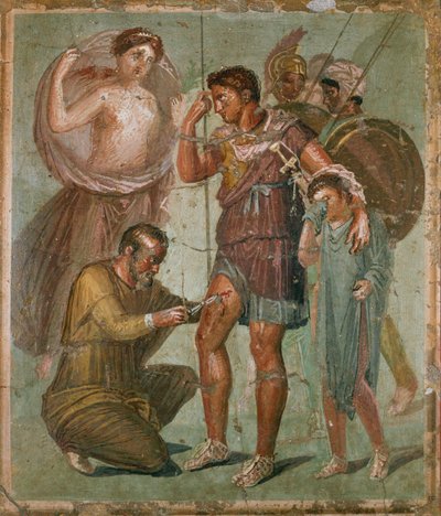 Zraněný Aeneas mezi Venuší a Askániem, z Casa di Sirico od Erich Lessing