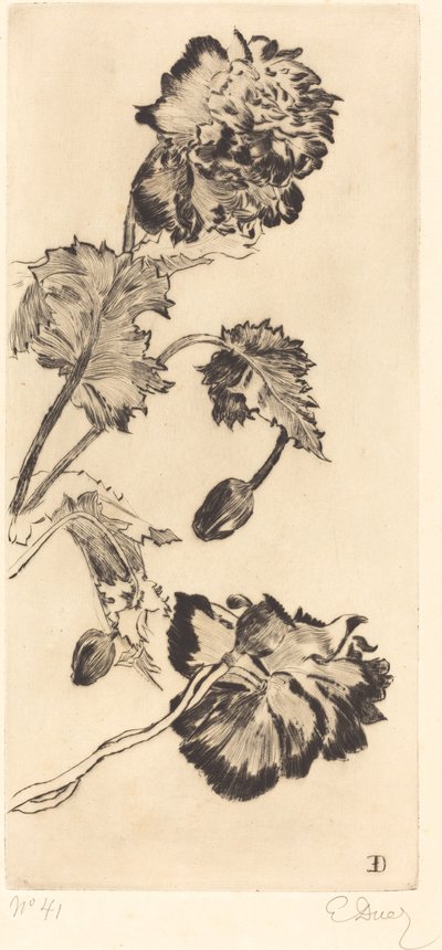 Květiny (Fleurs) od Ernest Ange Duez