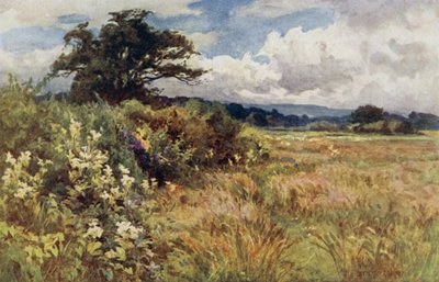 Rising Ground od Ernest Benger or Berenger