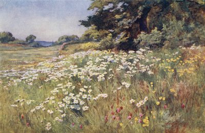Sunshine in Meadowland od Ernest Benger or Berenger