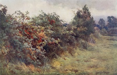 Zjevení zralosti od Ernest Benger or Berenger