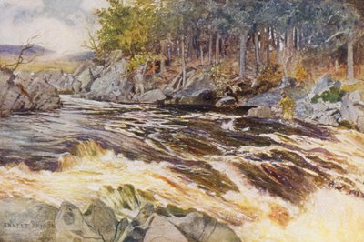 Lov lososů na řece Ken, kritický okamžik (barevná litografie) od Ernest Edward Briggs