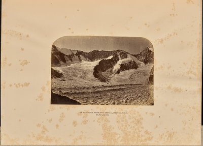 Nesthorn z ledovce Ober Aletsch od Ernest H. Edwards