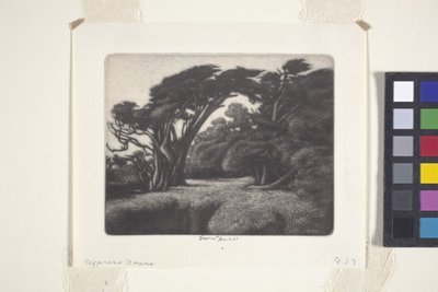Cypress Bower (mezzotinta) od Ernest Haskell