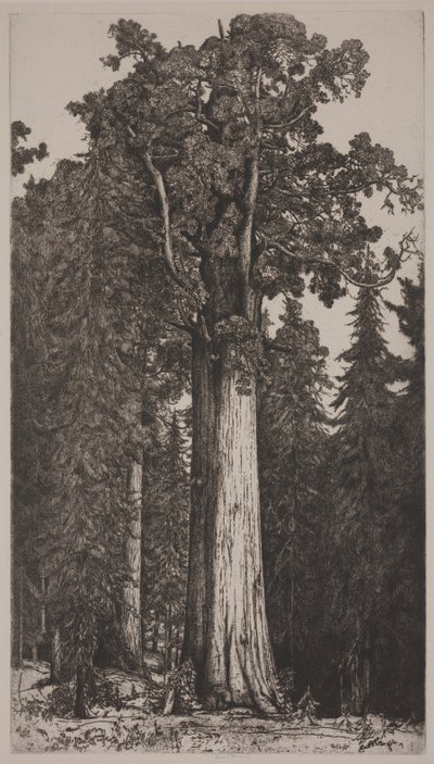 Generál Sherman od Ernest Haskell