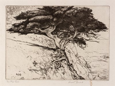 Strom vějířů od Ernest Haskell
