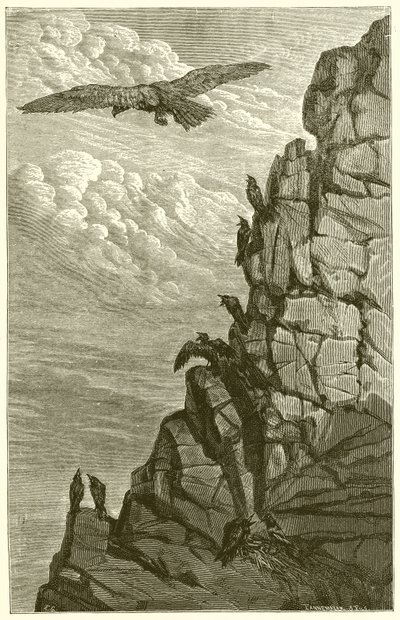 Orel a vrána od Ernest Henry Griset