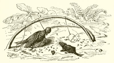 Fowler a Lark od Ernest Henry Griset