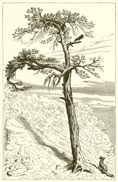 Liška a posádka od Ernest Henry Griset