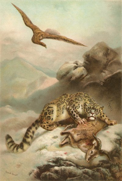 Sněžný leopard a Orel od Ernest Henry Griset