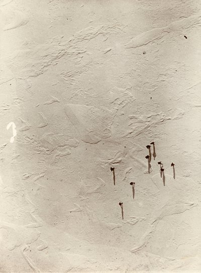 Pohled z balonu dolů přes náhorní plošinu směrem k "Discovery" (1901). Z alba sira Ernesta Henryho Shackletona s názvem Národní antarktická expedice (1901-1903). od Ernest Henry Shackleton