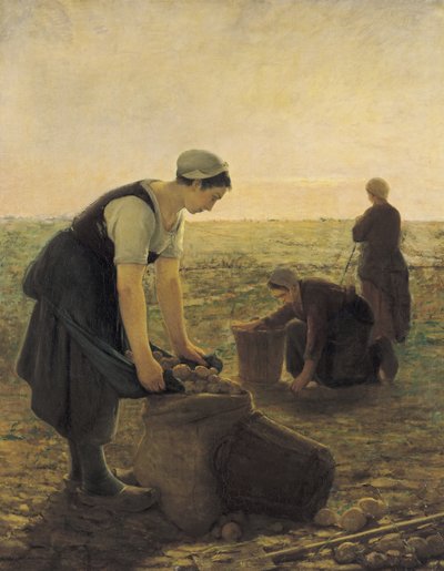 Sklizeň brambor od Ernest Masson
