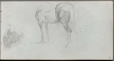 Náčrtník, strana 73: Studie koně, profil od Ernest Meissonier