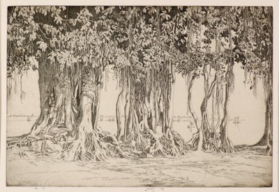 Banyan Tree od Ernest Stephen Lumsden