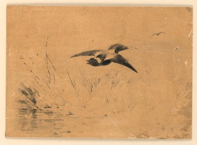 Bobolink od Ernest Thompson Seton