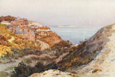 Boscombe Chine (barevné lito) od Ernest William Haslehust