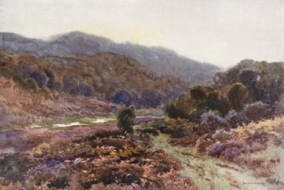 By Broomy Water (barevné lito) od Ernest William Haslehust