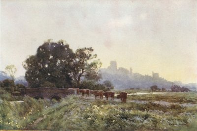 Dorchester z Meadows (barva litho) od Ernest William Haslehust