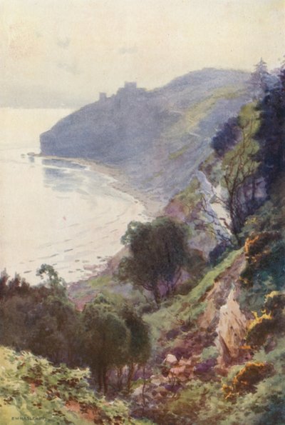 Durlston Bay, Swanage (barevní členové) od Ernest William Haslehust
