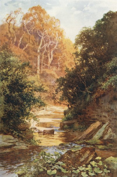 Hayburn Wyke (barevné lito) od Ernest William Haslehust
