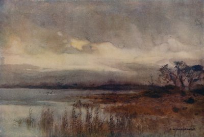 Hickling Broad (barevné lito) od Ernest William Haslehust