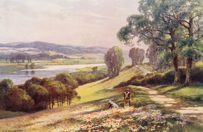Řeka Temže: Bourne End od Quarry Hill (barevná litografie) od Ernest William Haslehust