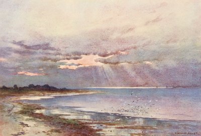 Řeka Temže: (barevná litografie) od Ernest William Haslehust