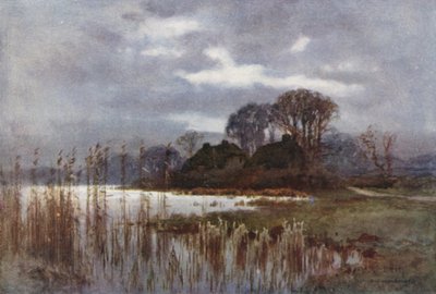 The Mill Pond, Beaulieu (barevné lito) od Ernest William Haslehust
