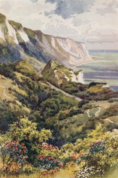 Warren, Folkestone (barevné lito) od Ernest William Haslehust