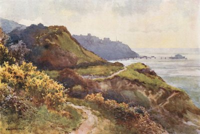 Ventnor z Steephill Walk (barevné lito) od Ernest William Haslehust
