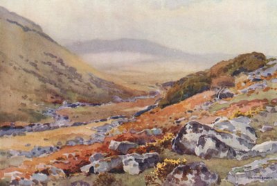 Wistmanovo dřevo (barevné lito) od Ernest William Haslehust