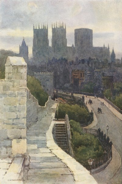 York z městských hradeb (barva lito) od Ernest William Haslehust