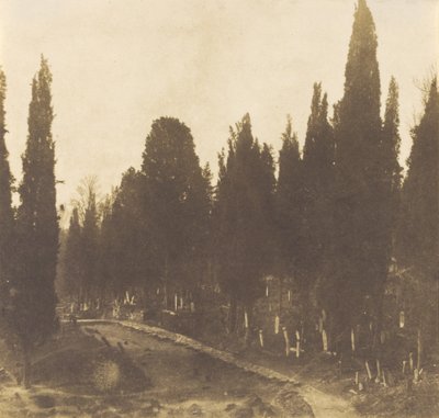 Turecko: hřbitov Scutari od Ernest de Caranza