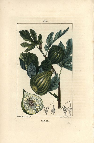 Závěsný od Ernestine Panckoucke