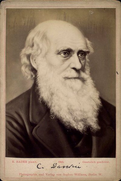Charles Darwin, britský přírodovědec, 60.–70. léta 19. století od Ernst Hader