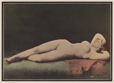 Šípková kráska (barva lito) od Ernst Philippe Zacharie