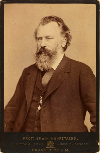 Portrét skladatele Johannese Brahmse 1833-1897, c. 1870. od Erwin Hanfstaengl