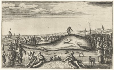 Uvízlý vorvaň na pláži v Noordwijku, 1614 od Esaias van de Velde