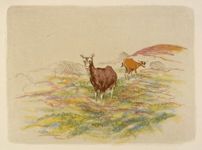 Kozy na poli od Esther Blaikie MacKinnon